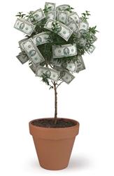 Money tree